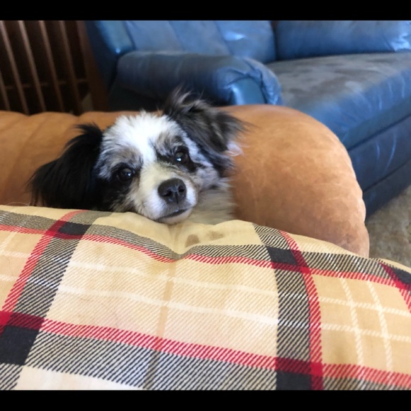 Meet your Posher, Susan - Picture 4 of 16